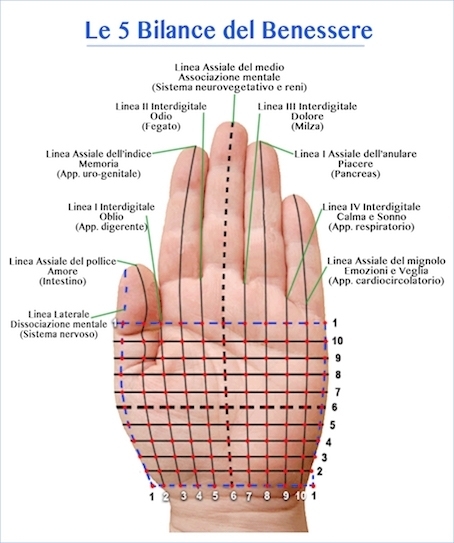 Riflessologia Sistemica della mano Metodo Calligaris - NATUROPATA LIFE COACH ANTONELLA ANCESCHI - CARPI - MODENA - REGGIO - CONSULENZE ONLINE 