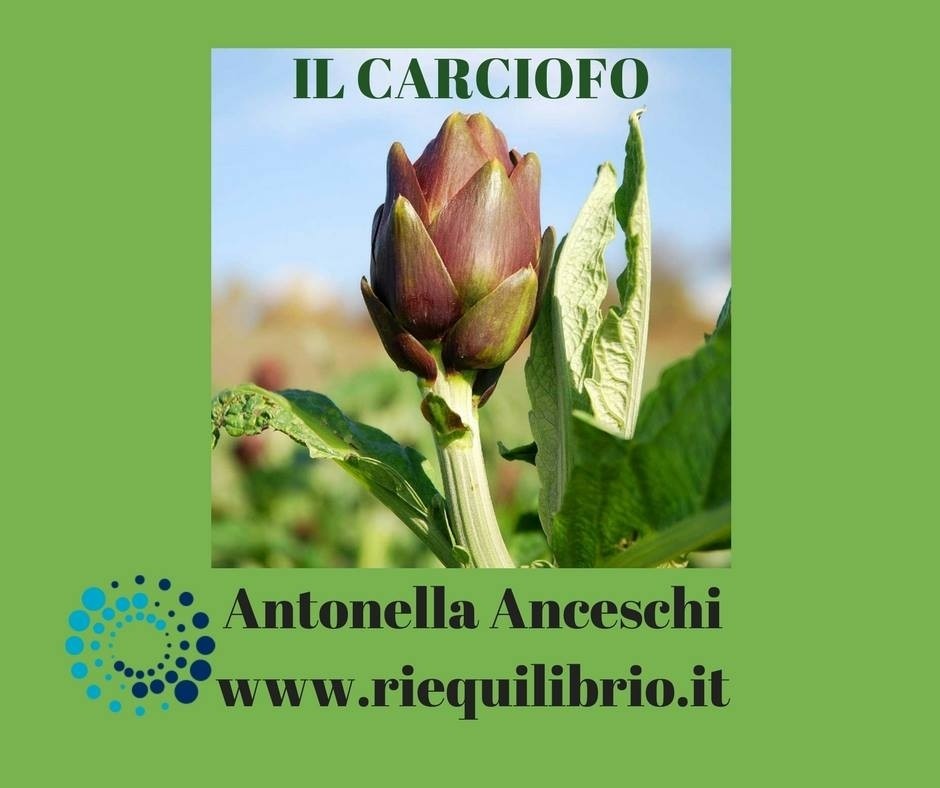 IL CARCIOFO - NATUROPATA RIFLESSOLOGA LIFE COACH ANTONELLA ANCESCHI - CARPI - MODENA - REGGIO 