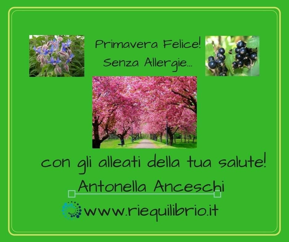 LE ALLERGIE IN PRIMAVERA - NATUROPATA LIFE COACH ANTONELLA ANCESCHI - CARPI - MODENA - REGGIO - CONSULENZE ONLINE 