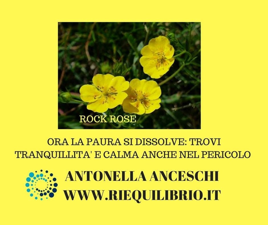 PAURA? NO GRAZIE: ROCK ROSE - NATUROPATA LIFE COACH ANTONELLA ANCESCHI - CARPI - MODENA - REGGIO - CONSULENZE ONLINE 