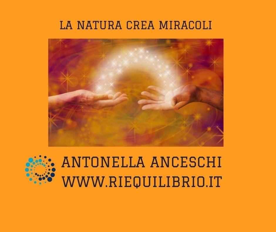 LA NATURA E I SUOI MIRACOLI - NATUROPATA LIFE COACH ANTONELLA ANCESCHI - CARPI - MODENA - REGGIO - CONSULENZE ONLINE 