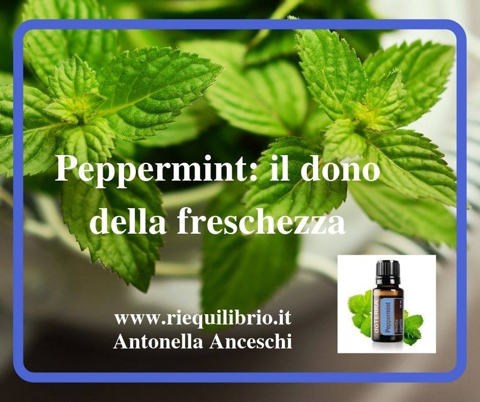 PEPPERMINT: IL DONO DELLA FRESCHEZZA SECONDO ANTONELLA - NATUROPATA LIFE COACH ANTONELLA ANCESCHI - CARPI - MODENA - REGGIO - CONSULENZE ONLINE 