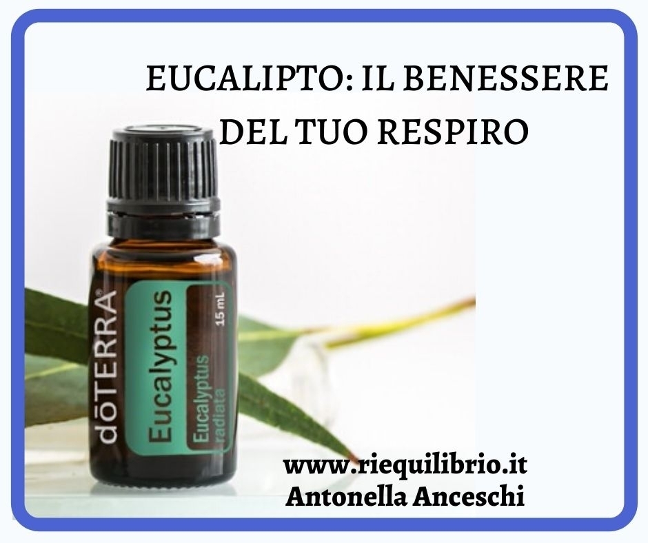 EUCALIPTO: L'OLIO DE RESPIRO! - NATUROPATA LIFE COACH ANTONELLA ANCESCHI - CARPI - MODENA - REGGIO - CONSULENZE ONLINE 