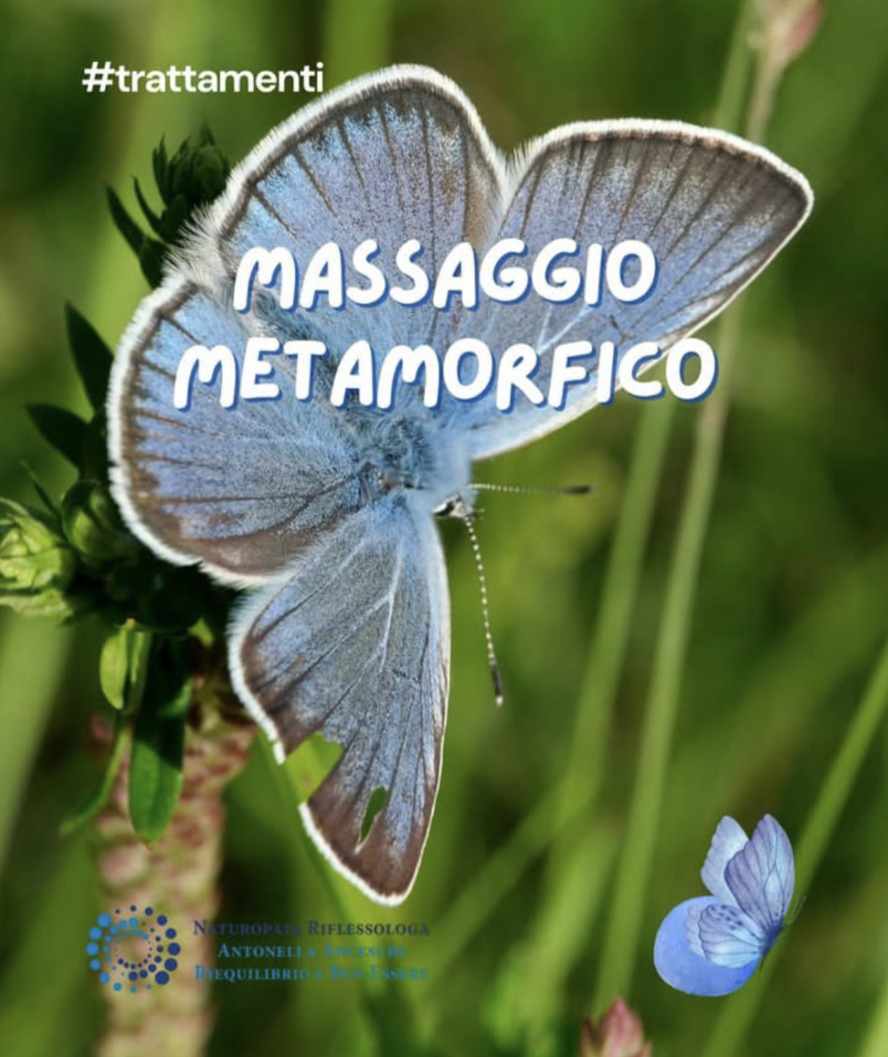 La Tecnica Metamorfica (Riflessologia piedi, mani, viso) - NATUROPATA LIFE COACH ANTONELLA ANCESCHI - CARPI - MODENA - REGGIO - CONSULENZE ONLINE 