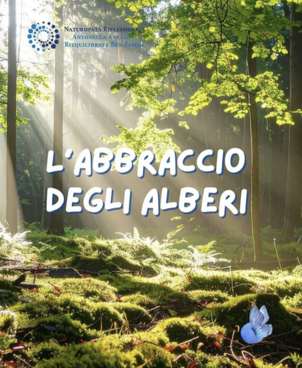 IL MIO NUOVO TRATTAMENTO DI NATALE: L'ABBRACCIO DEGLI ALBERI - NATUROPATA LIFE COACH ANTONELLA ANCESCHI - CARPI - MODENA - REGGIO - CONSULENZE ONLINE 