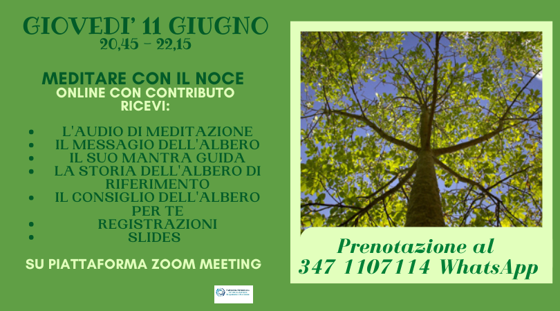 Alberi custodi di Luce: meditare con il Noce 11/06/2026 Online - NATUROPATA LIFE COACH ANTONELLA ANCESCHI - CARPI - MODENA - REGGIO - CONSULENZE ONLINE 