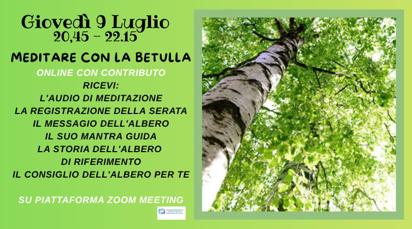 Alberi custodi di Luce: meditare con la Betulla 9 Luglio Online - NATUROPATA LIFE COACH ANTONELLA ANCESCHI - CARPI - MODENA - REGGIO - CONSULENZE ONLINE 